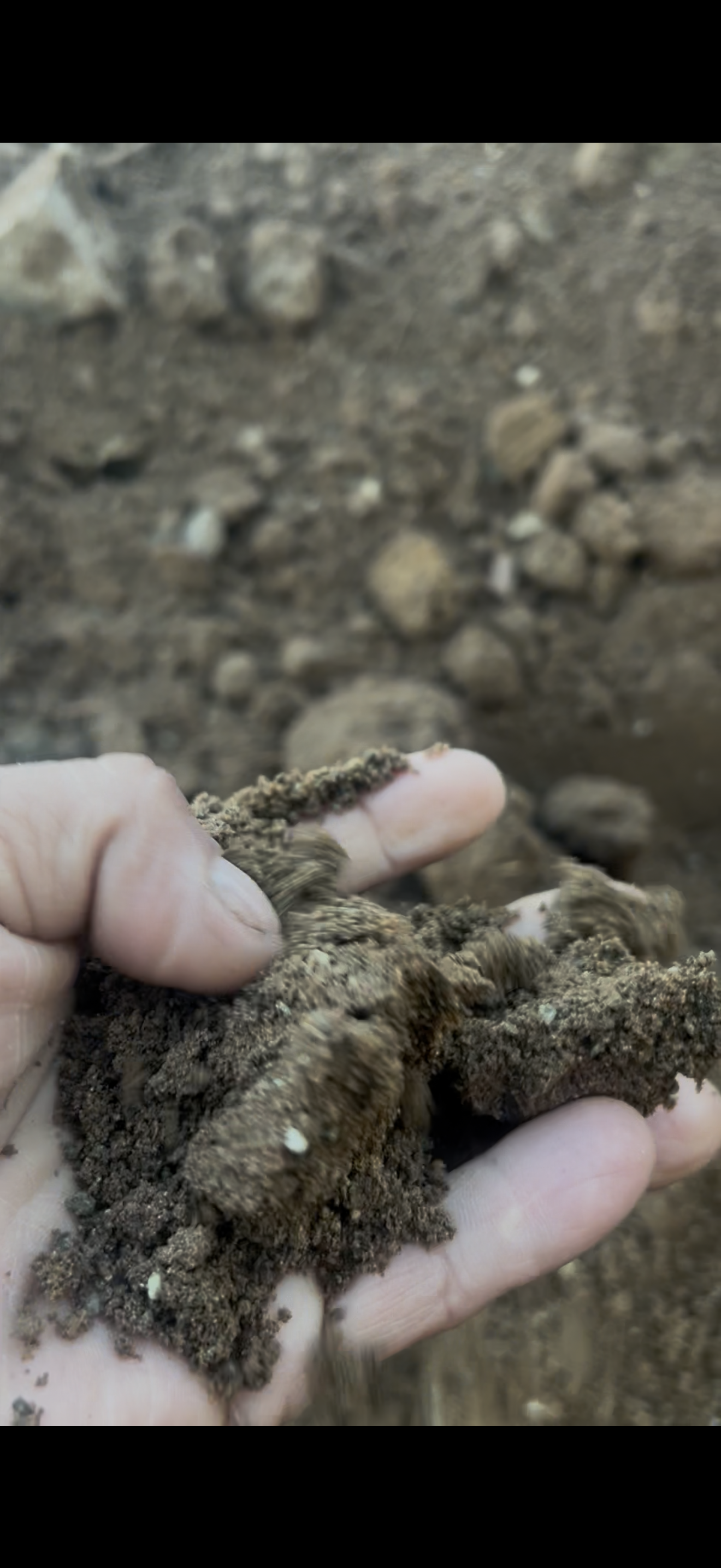 CRED Auto Draft e27913edf30319c90cd6adcba2b25a75