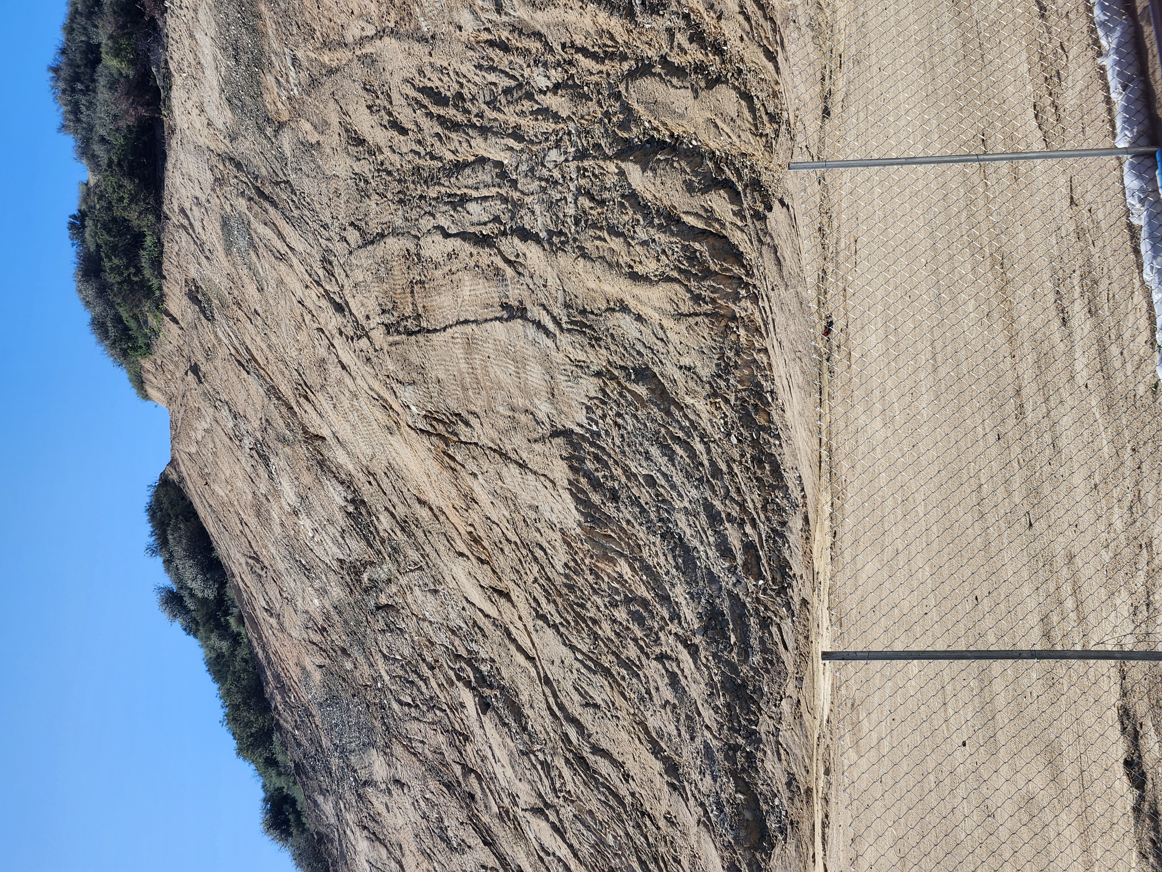 CRED Auto Draft 72691c58c7ab3b04cc792a00ad5a22b4